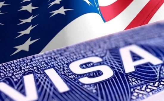 Where Can I find My US Visa Number?