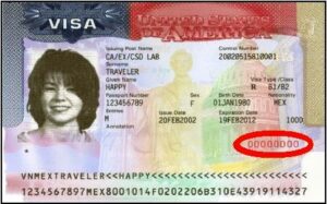 Where Can I find My US Visa Number -NaijaJapa